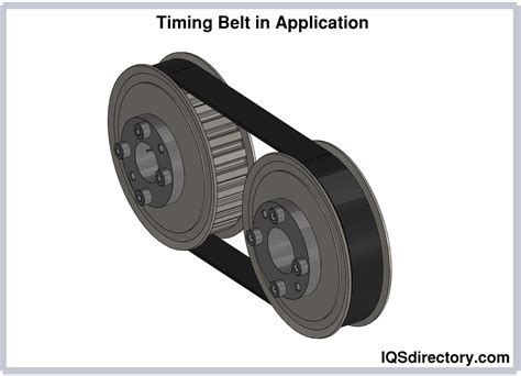 timer bet